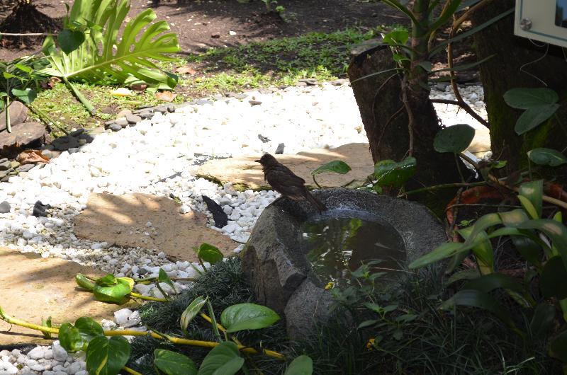 Hotel Aromax Del Campestre Medellín Extérieur photo